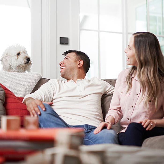 Happy couple sitting on a couch with their dog in a cozy living room.